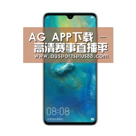 华为无线快充手机