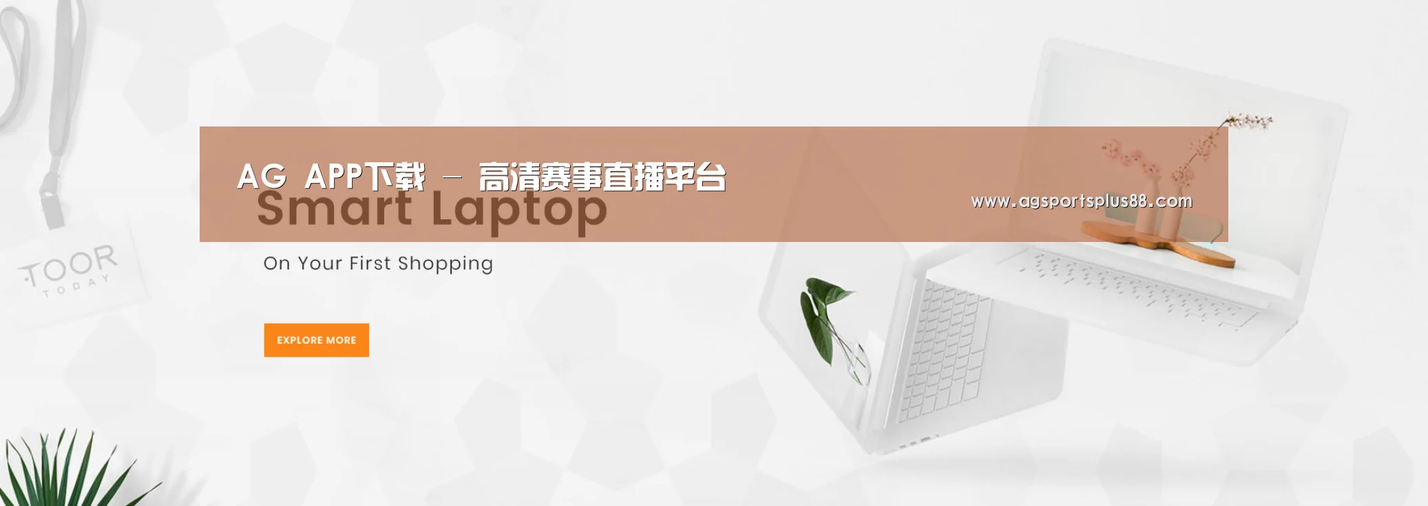 某某网络科技有限公司